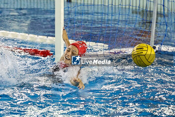 2024-11-02 - Olimpia Sesena (SIS Roma) - SIS ROMA VS PLEBISCITO PADOVA - SERIE A1 WOMEN - WATERPOLO