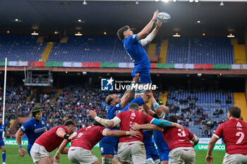 2024-11-17 - DINO LAMB (Italy) - ITALY VS GEORGIA - AUTUMN NATIONS SERIES - RUGBY