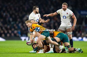 09/11/2024 - Tate McDermott of Australia during the Autumn Nations Series 2024 rugby union match between England and Australia on 9 November 2024 at Allianz Stadium in Twickenham, England - RUGBY - AUTUMN NATIONS SERIES 2024 - ENGLAND V AUSTRALIA - AUTUMN NATIONS SERIES - RUGBY