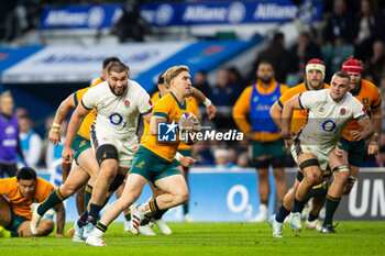 09/11/2024 - Tate McDermott of Australia during the Autumn Nations Series 2024 rugby union match between England and Australia on 9 November 2024 at Allianz Stadium in Twickenham, England - RUGBY - AUTUMN NATIONS SERIES 2024 - ENGLAND V AUSTRALIA - AUTUMN NATIONS SERIES - RUGBY