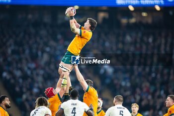 09/11/2024 - Nick Frost of Australia during the Autumn Nations Series 2024 rugby union match between England and Australia on 9 November 2024 at Allianz Stadium in Twickenham, England - RUGBY - AUTUMN NATIONS SERIES 2024 - ENGLAND V AUSTRALIA - AUTUMN NATIONS SERIES - RUGBY