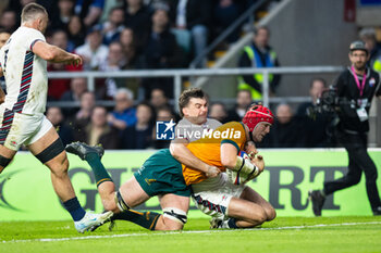 09/11/2024 - Harry Wilson of Australia scores his sides second try during the Autumn Nations Series 2024 rugby union match between England and Australia on 9 November 2024 at Allianz Stadium in Twickenham, England - RUGBY - AUTUMN NATIONS SERIES 2024 - ENGLAND V AUSTRALIA - AUTUMN NATIONS SERIES - RUGBY