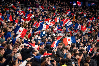 16/11/2024 - Fans of France Celebrating victory during the Autumn Nations Series 2024, rugby union match between France and New Zealand on 16 November 2024 at Stade de France in Saint-Denis near Paris, France - RUGBY - AUTUMN NATIONS SERIES 2024 - FRANCE V NEW ZEALAND - AUTUMN NATIONS SERIES - RUGBY