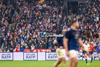 16/11/2024 - Fans of France celebrating during the Autumn Nations Series 2024, rugby union match between France and New Zealand on 16 November 2024 at Stade de France in Saint-Denis near Paris, France - RUGBY - AUTUMN NATIONS SERIES 2024 - FRANCE V NEW ZEALAND - AUTUMN NATIONS SERIES - RUGBY