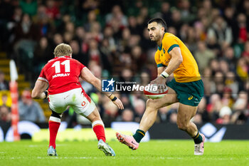 2024-11-17 - Tom Wright of Australia during the 2024 Autumn Nations Series rugby union match between Wales and Australia on 17 November 2024 at Millenium Stadium in Cardiff, Wales - RUGBY - AUTUMN NATIONS SERIES 2024 - WALES V AUSTRALIA - AUTUMN NATIONS SERIES - RUGBY