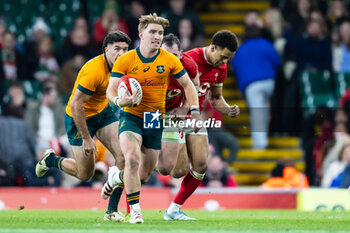 2024-11-17 - Tate McDermott of Australia during the 2024 Autumn Nations Series rugby union match between Wales and Australia on 17 November 2024 at Millenium Stadium in Cardiff, Wales - RUGBY - AUTUMN NATIONS SERIES 2024 - WALES V AUSTRALIA - AUTUMN NATIONS SERIES - RUGBY