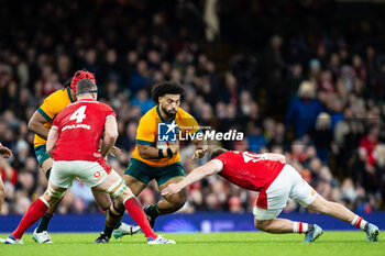 2024-11-17 - Zane Nonggorr of Australia during the 2024 Autumn Nations Series rugby union match between Wales and Australia on 17 November 2024 at Millenium Stadium in Cardiff, Wales - RUGBY - AUTUMN NATIONS SERIES 2024 - WALES V AUSTRALIA - AUTUMN NATIONS SERIES - RUGBY