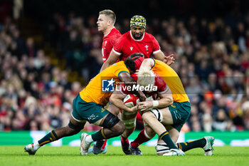 2024-11-17 - Aaron Wainwright of Wales during the 2024 Autumn Nations Series rugby union match between Wales and Australia on 17 November 2024 at Millenium Stadium in Cardiff, Wales - RUGBY - AUTUMN NATIONS SERIES 2024 - WALES V AUSTRALIA - AUTUMN NATIONS SERIES - RUGBY