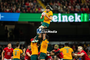 2024-11-17 - Nick Frost of Australia during the 2024 Autumn Nations Series rugby union match between Wales and Australia on 17 November 2024 at Millenium Stadium in Cardiff, Wales - RUGBY - AUTUMN NATIONS SERIES 2024 - WALES V AUSTRALIA - AUTUMN NATIONS SERIES - RUGBY