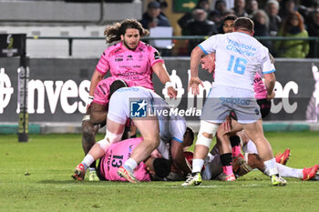2024-01-20 - Scrum - BENETTON RUGBY VS MONTPELLIER HéRAULT RUGBY - CHALLENGE CUP - RUGBY