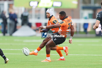 2024-01-14 - Ali Mgijima of Toyota Cheetah's during the EPCR Challenge Cup rugby union match between Toyota Cheetahs and Section Paloise (Pau) on January 14, 2024 at NRCA Amsterdam in Amsterdam, Netherlands - RUGBY - CHALLENGE CUP - CHEETAHS V PAU - CHALLENGE CUP - RUGBY