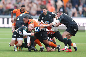 2024-01-14 - Dan Robson of Section Paloise during the EPCR Challenge Cup rugby union match between Toyota Cheetahs and Section Paloise (Pau) on January 14, 2024 at NRCA Amsterdam in Amsterdam, Netherlands - RUGBY - CHALLENGE CUP - CHEETAHS V PAU - CHALLENGE CUP - RUGBY