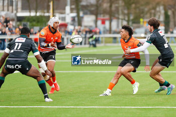 2024-01-14 - Munier Hartzenberg and Cohen Jasper of Toyota Cheetah's, Aminiasi Tuimaba and Axel Desperes of Section Paloise during the EPCR Challenge Cup rugby union match between Toyota Cheetahs and Section Paloise (Pau) on January 14, 2024 at NRCA Amsterdam in Amsterdam, Netherlands - RUGBY - CHALLENGE CUP - CHEETAHS V PAU - CHALLENGE CUP - RUGBY