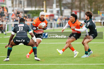 2024-01-14 - Munier Hartzenberg of Toyota Cheetah's and Aminiasi Tuimaba of Section Paloise, Cohen Jasper of Toyota Cheetah's and Axel Desperes of Section Paloise during the EPCR Challenge Cup rugby union match between Toyota Cheetahs and Section Paloise (Pau) on January 14, 2024 at NRCA Amsterdam in Amsterdam, Netherlands - RUGBY - CHALLENGE CUP - CHEETAHS V PAU - CHALLENGE CUP - RUGBY
