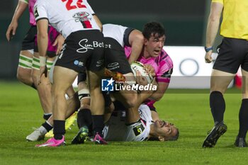 06/04/2024 - Mirco Spagnolo - BENETTON RUGBY VS EMIRATES LIONS - CHALLENGE CUP - RUGBY