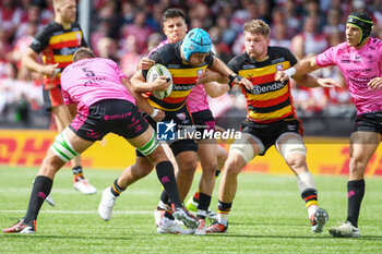 04/05/2024 - Gloucester Rugby Back Row Zach Mercer (8) during the European Rugby Challenge Cup, semi-final rugby union match between Gloucester Rugby and Benetton Rugby on 4 May 2024 at the Kingsholm Stadium in Gloucester, England - RUGBY - CHALLENGE CUP - GLOUCESTER V BENETTON RUGBY - CHALLENGE CUP - RUGBY