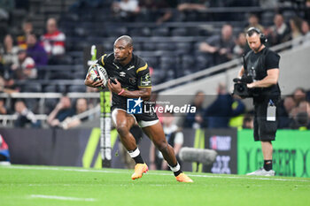 24/05/2024 - Hollywoodbets Sharks Makazole Mapimpi during the European Rugby Challenge Cup, Final rugby union match between Gloucester Rugby and Hollywoodbets Sharks on 24 May 2024 at Tottenham Hotspur Stadium in London, England - RUGBY - CHALLENGE CUP - FINAL - GLOUCESTER V SHARKS - CHALLENGE CUP - RUGBY