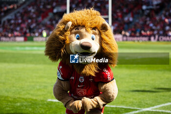 2024-04-14 - Toulouse mascot before kick off ahead of the European Rugby Champions Cup, quarter final, rugby union match between Stade Toulousain (Toulouse) and Exeter Chiefs on 14 April 2024 at Stade Ernest-Wallon in Toulouse, France - RUGBY - CHAMPIONS CUP - TOULOUSE V EXETER - CHAMPIONS CUP - RUGBY