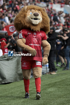 05/05/2024 - Ovalion, mascot of Stade Toulousain during the Champions Cup, Semi-finals, rugby union match between Stade Toulousain (Toulouse) and Harlequins on May 5, 2024 at the Stadium of Toulouse in Toulouse, France - RUGBY - CHAMPIONS CUP - TOULOUSE V HARLEQUINS - HEINEKEN CHAMPIONS CUP - RUGBY