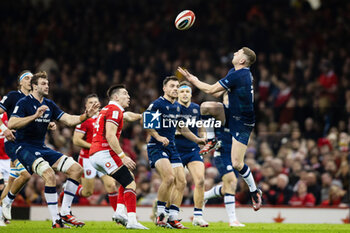 2024-02-03 - Finn Russell of Scotland goes for a high ball during the 2024 Six nations Championship, rugby union match between Wales and Scotland on 3 February 2024 at Millenium Stadium in Cardiff, Wales - RUGBY - SIX NATIONS 2024 - WALES V SCOTLAND - SIX NATIONS - RUGBY