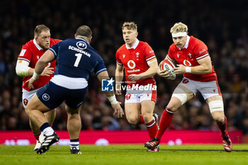 2024-02-03 - Aaron Wainwright of Wales during the 2024 Six nations Championship, rugby union match between Wales and Scotland on 3 February 2024 at Millenium Stadium in Cardiff, Wales - RUGBY - SIX NATIONS 2024 - WALES V SCOTLAND - SIX NATIONS - RUGBY