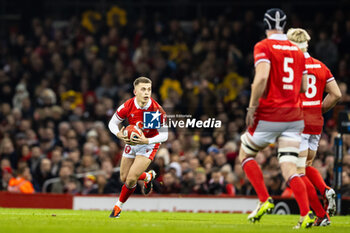 2024-02-03 - Cameron Winnett of Wales during the 2024 Six nations Championship, rugby union match between Wales and Scotland on 3 February 2024 at Millenium Stadium in Cardiff, Wales - RUGBY - SIX NATIONS 2024 - WALES V SCOTLAND - SIX NATIONS - RUGBY
