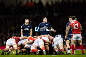 2024-02-03 - Finn Russell of Scotland during the 2024 Six nations Championship, rugby union match between Wales and Scotland on 3 February 2024 at Millenium Stadium in Cardiff, Wales - RUGBY - SIX NATIONS 2024 - WALES V SCOTLAND - SIX NATIONS - RUGBY