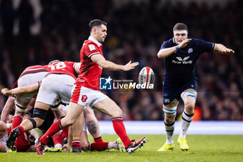 2024-02-03 - Tomos Williams of Wales during the 2024 Six nations Championship, rugby union match between Wales and Scotland on 3 February 2024 at Millenium Stadium in Cardiff, Wales - RUGBY - SIX NATIONS 2024 - WALES V SCOTLAND - SIX NATIONS - RUGBY