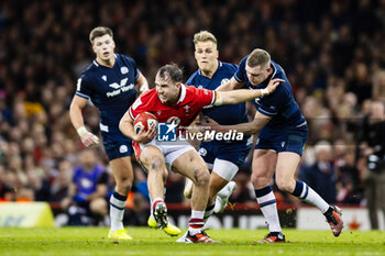 2024-02-03 - Ioan Lloyd of Wales under pressure from Finn Russell of Scotland during the 2024 Six nations Championship, rugby union match between Wales and Scotland on 3 February 2024 at Millenium Stadium in Cardiff, Wales - RUGBY - SIX NATIONS 2024 - WALES V SCOTLAND - SIX NATIONS - RUGBY