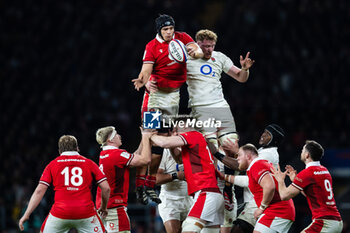 2024-02-10 - Dafydd Jenkins of Wales claims the lineout during the 2024 Six nations Championship, rugby union match between England and Wales on 10 February 2024 at Twickenham stadium in London, England - RUGBY - SIX NATIONS 2024 - ENGLAND V WALES - SIX NATIONS - RUGBY