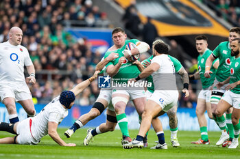09/03/2024 - Tadhg Furlong of Ireland during the 2024 Six Nations Championship, rugby union match between England and Ireland on 9 March 2024 at Twickenham stadium in London, England - RUGBY - SIX NATIONS 2024 - ENGLAND V IRELAND - 6 NAZIONI - RUGBY