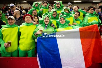 10/03/2024 - France fans dressed as frogs celebrate the win after the 2024 Six nations Championship, rugby union match between Wales and France on 10 March 2024 at Millenium Stadium in Cardiff, Wales - RUGBY - SIX NATIONS 2024 - WALES V FRANCE - 6 NAZIONI - RUGBY