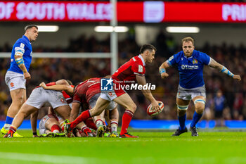 2024-03-16 - Tomos Williams of Wales during the 2024 Six nations Championship, rugby union match between Wales and Italy on 16 March 2024 at Millenium Stadium in Cardiff, Wales - RUGBY - SIX NATIONS 2024 - WALES V ITALY - SIX NATIONS - RUGBY