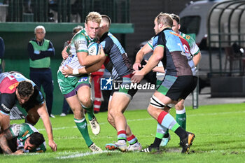 2024-09-13 - Actions of the game and players' images during the match between Benetton Rugby and Harlequins FC at Monigo Stadium, Treviso  13 September 2024 - BENETTON RUGBY VS HARLEQUINS FC - TEST MATCH - RUGBY