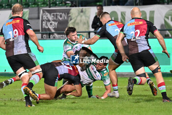 2024-09-13 - Actions of the game and players' images during the match between Benetton Rugby and Harlequins FC at Monigo Stadium, Treviso  13 September 2024 - BENETTON RUGBY VS HARLEQUINS FC - TEST MATCH - RUGBY