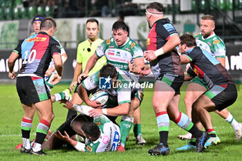 2024-09-13 - Actions of the game and players' images during the match between Benetton Rugby and Harlequins FC at Monigo Stadium, Treviso  13 September 2024 - BENETTON RUGBY VS HARLEQUINS FC - TEST MATCH - RUGBY