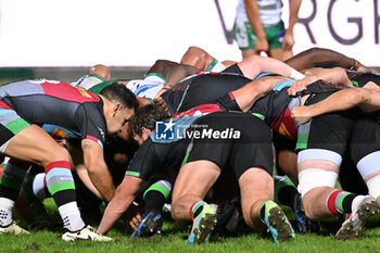 2024-09-13 - Actions of the game and players' images during the match between Benetton Rugby and Harlequins FC at Monigo Stadium, Treviso  13 September 2024 - BENETTON RUGBY VS HARLEQUINS FC - TEST MATCH - RUGBY