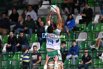 2024-09-13 - Actions of the game and players' images during the match between Benetton Rugby and Harlequins FC at Monigo Stadium, Treviso  13 September 2024 - BENETTON RUGBY VS HARLEQUINS FC - TEST MATCH - RUGBY