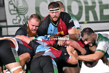 2024-09-13 - Actions of the game and players' images during the match between Benetton Rugby and Harlequins FC at Monigo Stadium, Treviso  13 September 2024 - BENETTON RUGBY VS HARLEQUINS FC - TEST MATCH - RUGBY