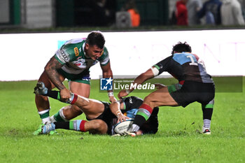 2024-09-13 - Actions of the game and players' images during the match between Benetton Rugby and Harlequins FC at Monigo Stadium, Treviso  13 September 2024 - BENETTON RUGBY VS HARLEQUINS FC - TEST MATCH - RUGBY