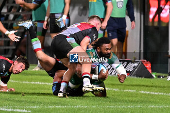 2024-09-13 - Actions of the game and players' images during the match between Benetton Rugby and Harlequins FC at Monigo Stadium, Treviso  13 September 2024 - BENETTON RUGBY VS HARLEQUINS FC - TEST MATCH - RUGBY