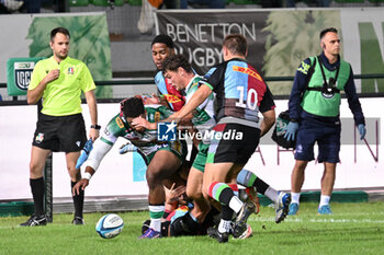 2024-09-13 - Actions of the game and players' images during the match between Benetton Rugby and Harlequins FC at Monigo Stadium, Treviso  13 September 2024 - BENETTON RUGBY VS HARLEQUINS FC - TEST MATCH - RUGBY