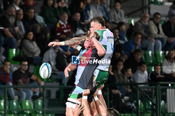 2024-09-13 - Actions of the game and players' images during the match between Benetton Rugby and Harlequins FC at Monigo Stadium, Treviso  13 September 2024 - BENETTON RUGBY VS HARLEQUINS FC - TEST MATCH - RUGBY