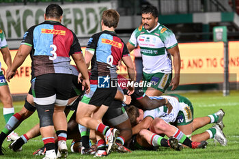 2024-09-13 - Actions of the game and players' images during the match between Benetton Rugby and Harlequins FC at Monigo Stadium, Treviso  13 September 2024 - BENETTON RUGBY VS HARLEQUINS FC - TEST MATCH - RUGBY