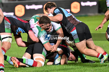 2024-09-13 - Actions of the game and players' images during the match between Benetton Rugby and Harlequins FC at Monigo Stadium, Treviso  13 September 2024 - BENETTON RUGBY VS HARLEQUINS FC - TEST MATCH - RUGBY