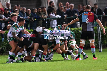 2024-09-13 - Actions of the game and players' images during the match between Benetton Rugby and Harlequins FC at Monigo Stadium, Treviso  13 September 2024 - BENETTON RUGBY VS HARLEQUINS FC - TEST MATCH - RUGBY