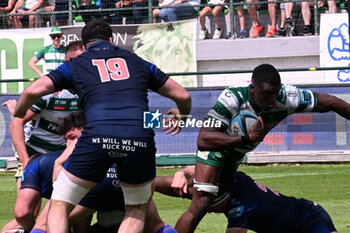 2024-06-01 - Alessandro Izekor ( Benetton Rugby ) during the URC game between BENETTON RUGBY and Edinburgh Rugby at Monigo Stadium, Italy on June 1, 2024 - BENETTON RUGBY VS EDINBURGH RUGBY - UNITED RUGBY CHAMPIONSHIP - RUGBY