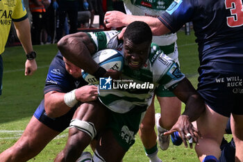 2024-06-01 - Alessandro Izekor ( Benetton Rugby ) during the URC game between BENETTON RUGBY and Edinburgh Rugby at Monigo Stadium, Italy on June 1, 2024 - BENETTON RUGBY VS EDINBURGH RUGBY - UNITED RUGBY CHAMPIONSHIP - RUGBY