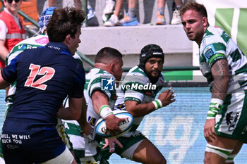 2024-06-01 - Images of the URC game between BENETTON RUGBY and Edinburgh Rugby at Monigo Stadium, Italy on June 1, 2024 - BENETTON RUGBY VS EDINBURGH RUGBY - UNITED RUGBY CHAMPIONSHIP - RUGBY