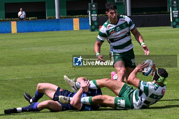 2024-06-01 - Images of the URC game between BENETTON RUGBY and Edinburgh Rugby at Monigo Stadium, Italy on June 1, 2024 - BENETTON RUGBY VS EDINBURGH RUGBY - UNITED RUGBY CHAMPIONSHIP - RUGBY